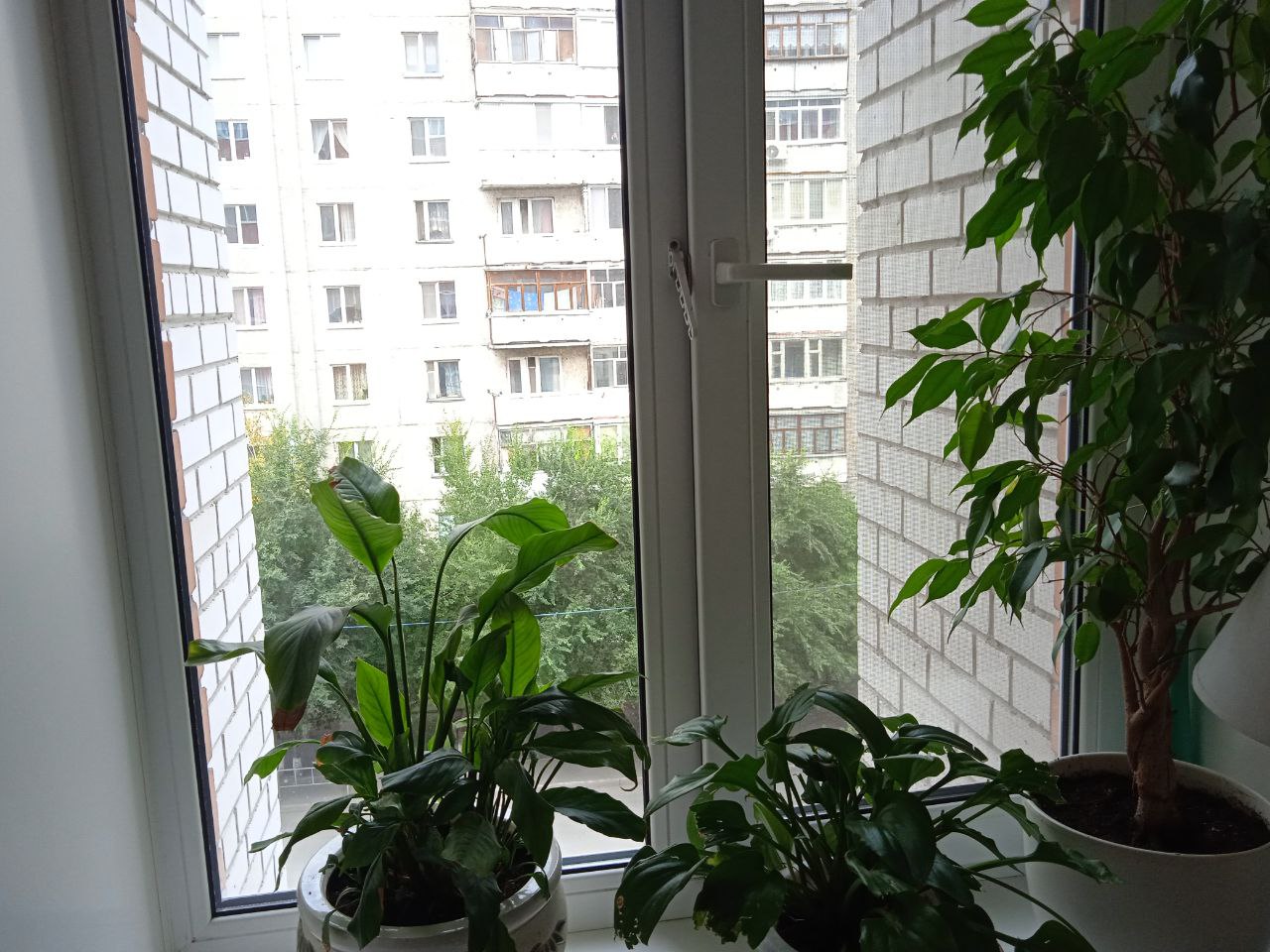 https://kursk.delaem-okna.ru/storage/app/uploads/public/63f/332/8c0/63f3328c0d6f7867060515.jpg